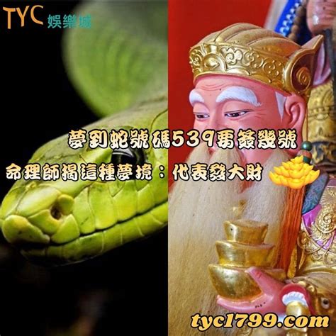 看到死蛇代表什麼|「夢到蛇」代表什麼？7種夢到蛇常見夢境解讀一次看，夢到蛇「。